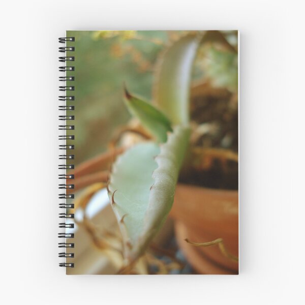 Artikelvorschau, A Prickly Pet entworfen und verkauft von Maureen Kay.