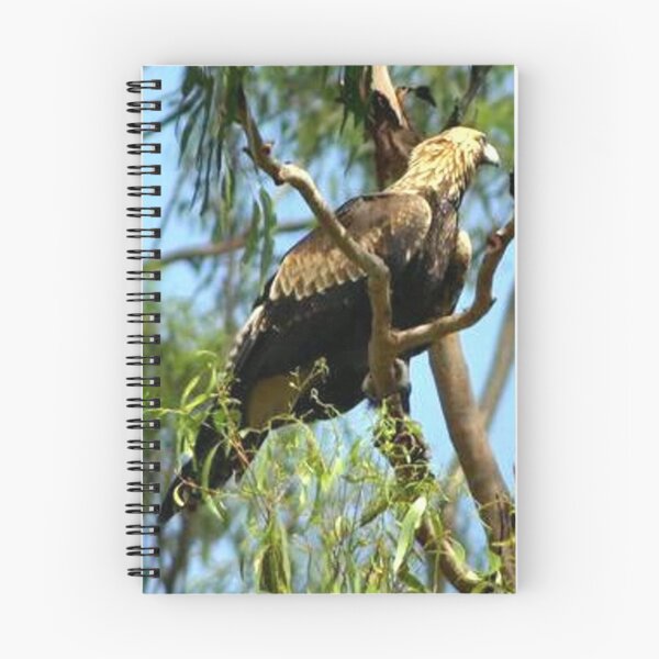 Artikelvorschau, Australian Wedge-Tailed Eagle entworfen und verkauft von Clive.