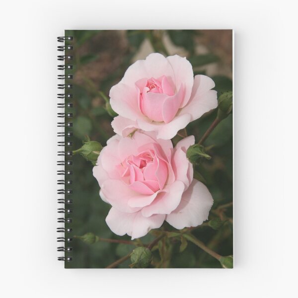 Item preview, "Timely Pink" designed and sold by Gail Mew.