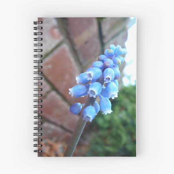 Item preview, blue bells designed and sold by normab.