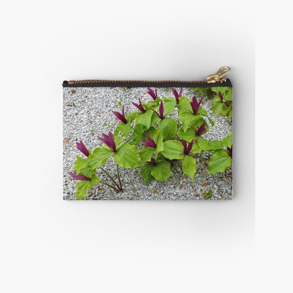 Item preview, Trillium Cuneatum designed and sold by Graeme  Hyde.