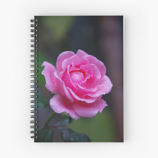 Item preview, Glistening Rose designed and sold by Debbie Stobbart.