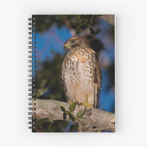 Item preview, Red-Shouldered Hawk designed and sold by Denis Wagovich.