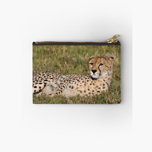 Item preview, cheetah Acinonyx jubatus portrait cat Africa designed and sold by Schoensl.