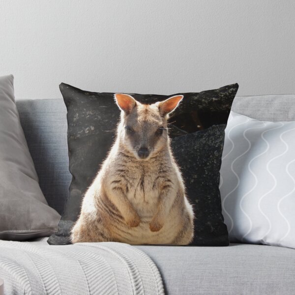 Item preview, Rock Wallaby Portrait designed and sold by CodyLaskeyPhoto.