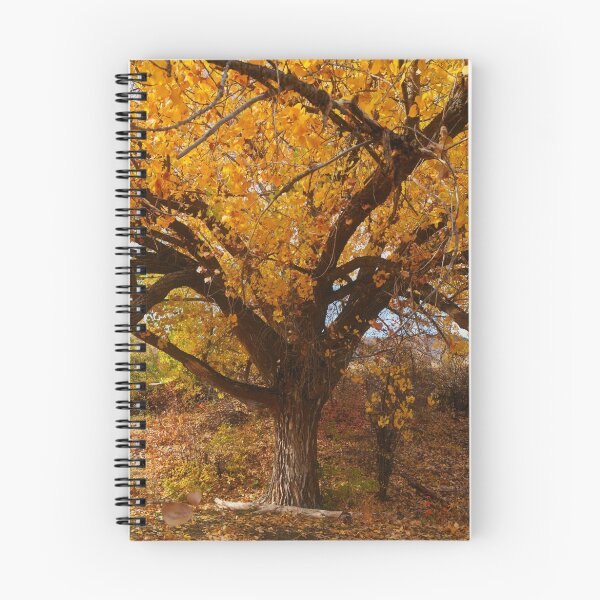 Item preview, Tree of Gold designed and sold by J. D. Adsit.
