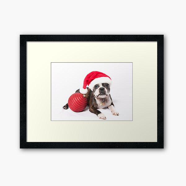 Merry Christmas 2009! Framed Art Print