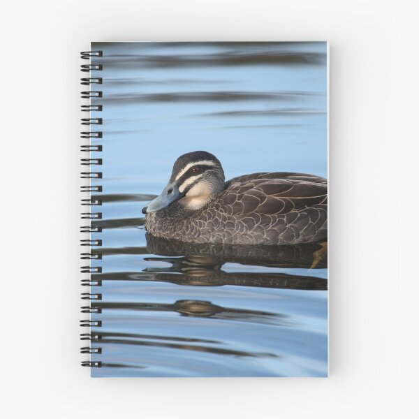 Item preview, Pacific Black Duck designed and sold by margotk.