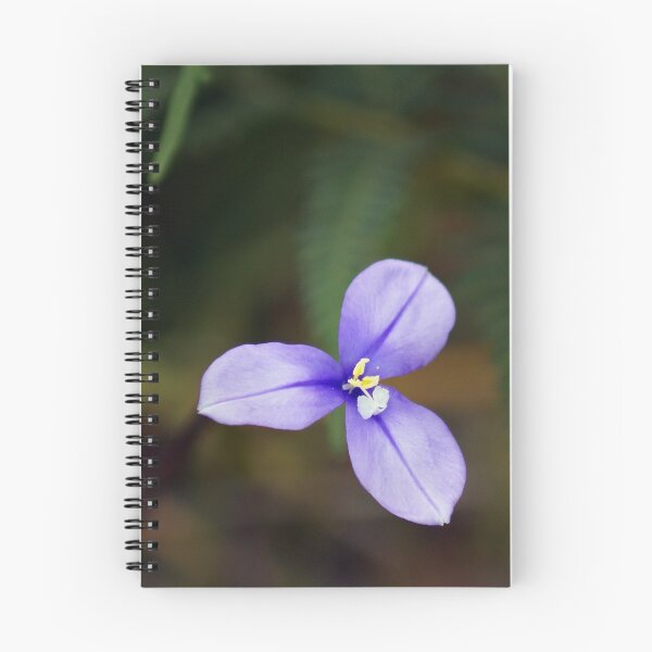 Item preview, Native Flag Iris "Patersonia occidentalis" designed and sold by Rosie Appleton.