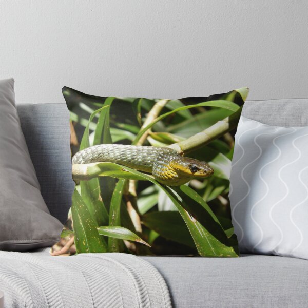 Item preview, Colours of a Tree Snake designed and sold by CodyLaskeyPhoto.