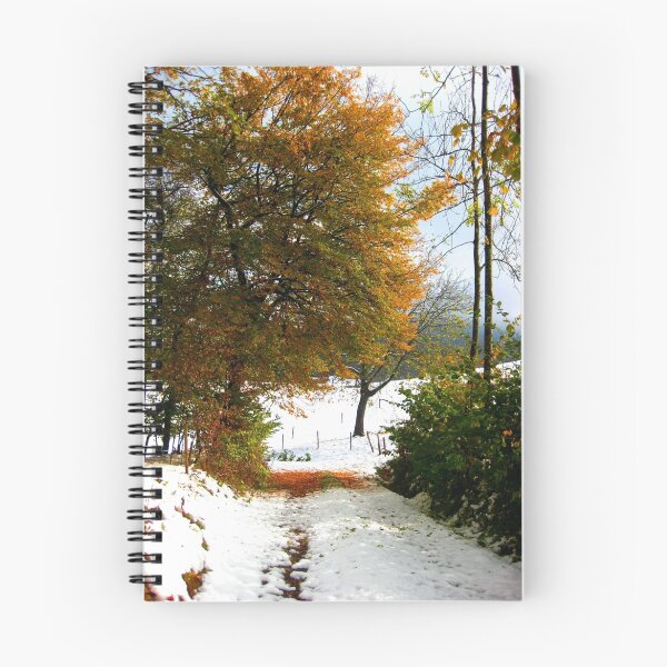 Item preview, First Snow designed and sold by Rosy Kueng Photography.