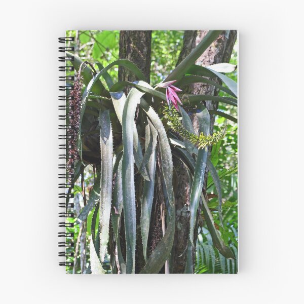 Item preview, Flowering Bromeliad designed and sold by Karen Millard.