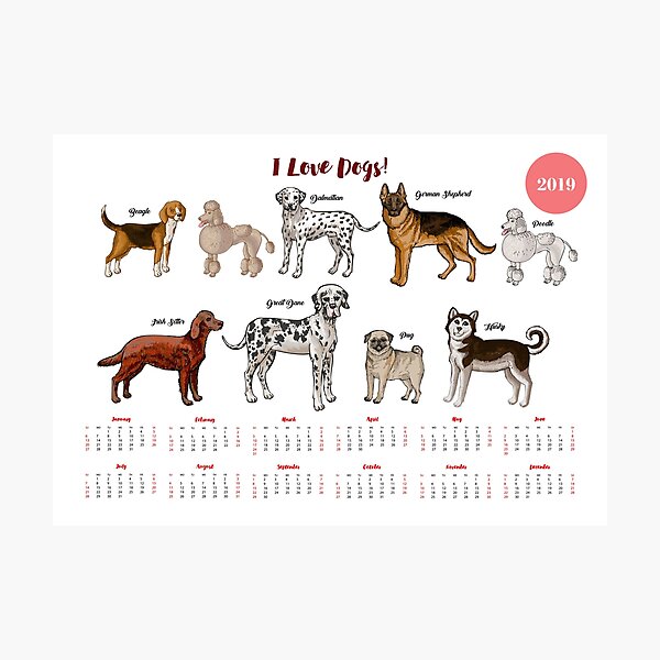 Calendar 2019 Dogs Sketches II Photographic Print