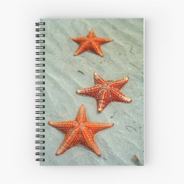 Item preview,  Bocas del Toro designed and sold by Karen Millard.
