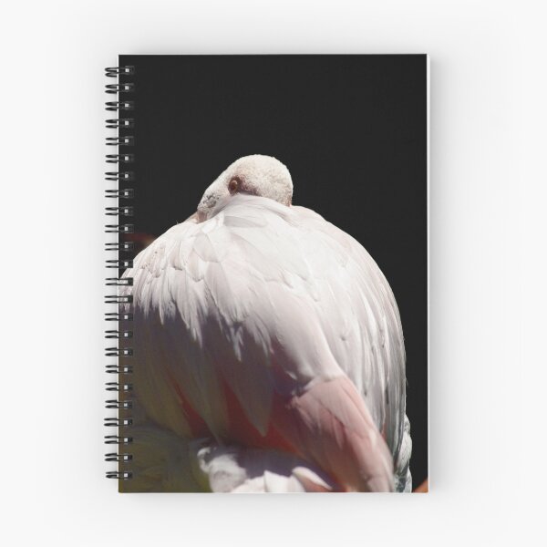 Item preview, Greater Flamingo designed and sold by Tamara  Kenneally.