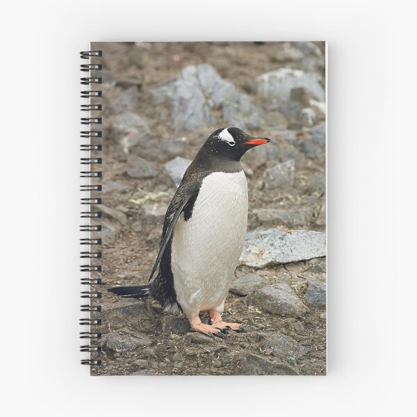 Item preview, Gentoo Penguin "Pygoscelis papua" #1 designed and sold by Rosie Appleton.