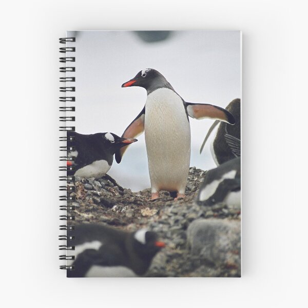 Item preview, Gentoo penguin "Pygoscelis papua" #2 designed and sold by Rosie Appleton.