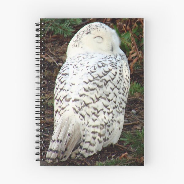 Item preview, Sleepy Snowy Owl designed and sold by tkrosevear.