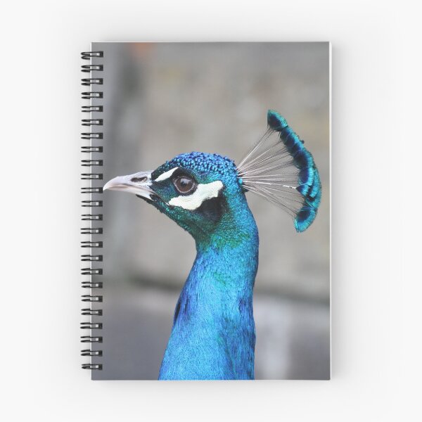 Item preview, Peacock designed and sold by margotk.
