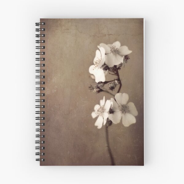 Item preview, Rather Be designed and sold by Naomi Frost.