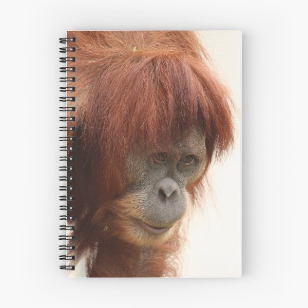 Item preview, Orang Utan designed and sold by margotk.