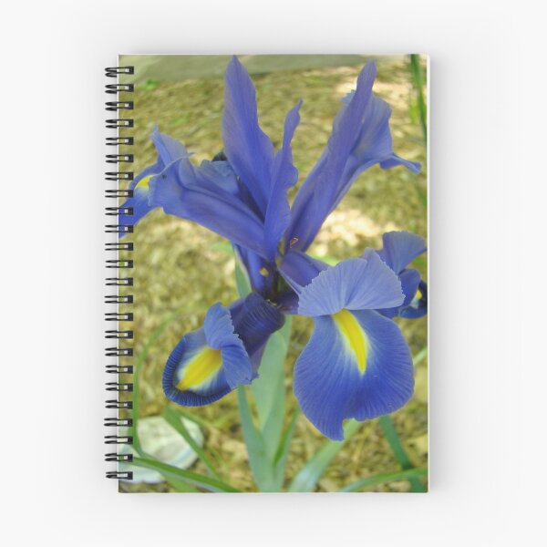 Item preview, siberian iris designed and sold by Jan Stead JEMproductions.