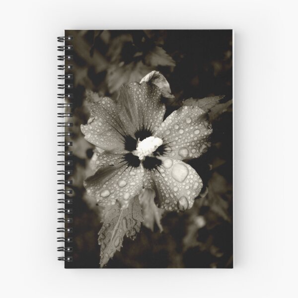 Aperçu de l'œuvre raindrop petals créée et vendue par spiralsofwhite.