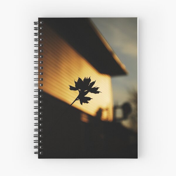 Item preview, house designed and sold by spiralsofwhite.
