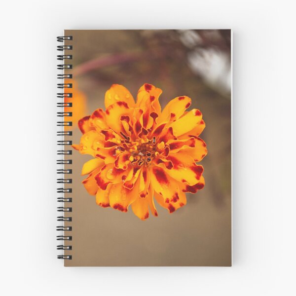 Item preview, bright orange designed and sold by spiralsofwhite.