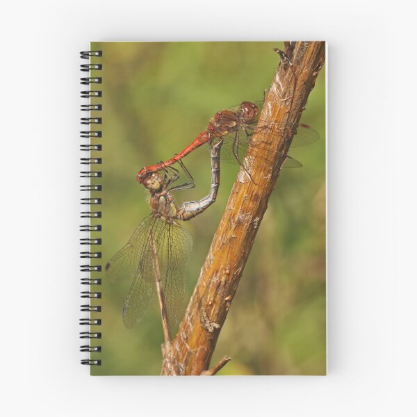 Item preview, Common Darter Dragonfly designed and sold by Robert Abraham.