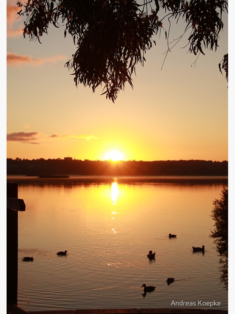Sunrise over Lake Joondalup by mistered
