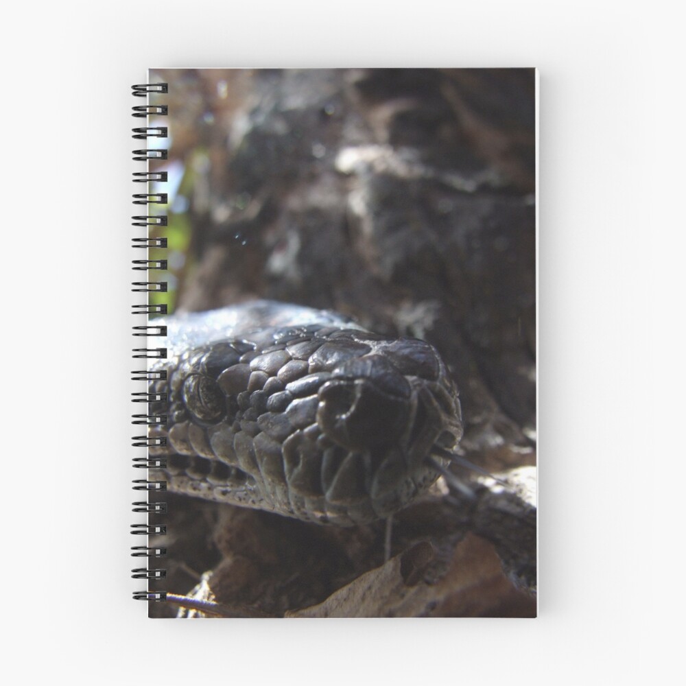 Item preview, Spiral Notebook designed and sold by lindasass.
