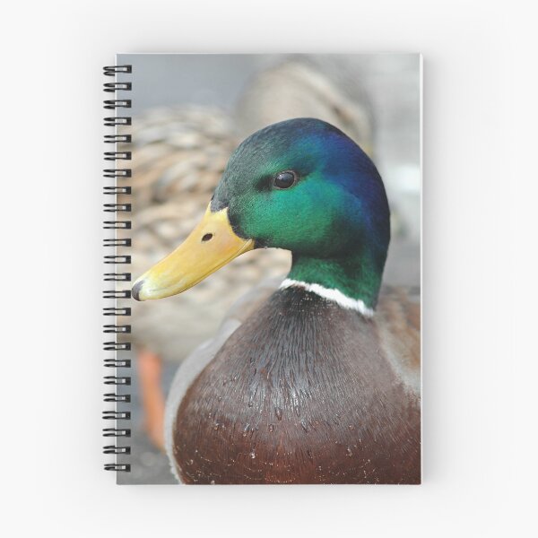 Item preview, DUCKTAILS II designed and sold by mc27.