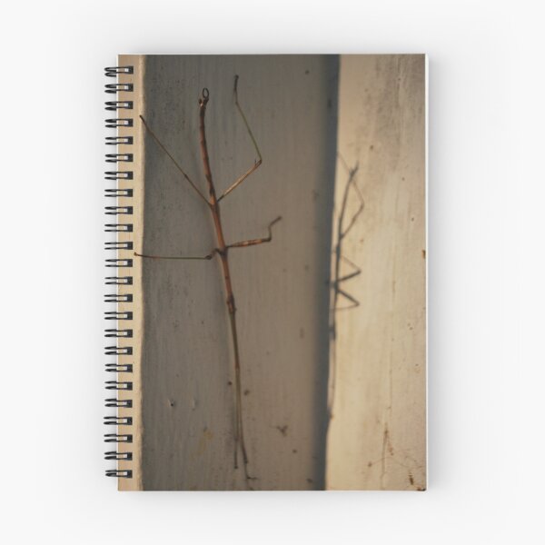 Item preview, stick bug designed and sold by Jeff stroud.