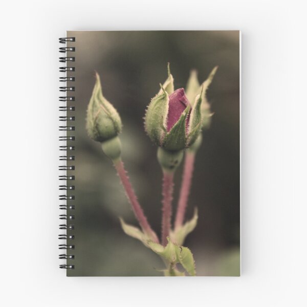 Item preview, ~bud~ designed and sold by Cordelia.