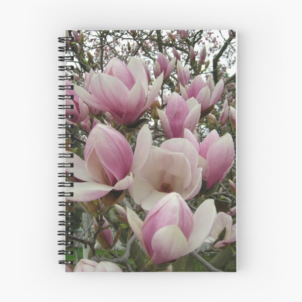 Item preview, THE TULIP TREE designed and sold by dmsquare.