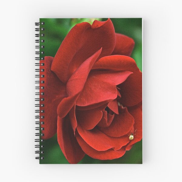 Item preview, Scarlet rose designed and sold by Gouzelka.