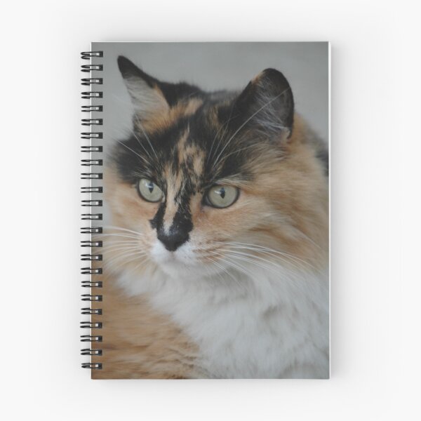 Item preview, Sammy designed and sold by Lisa Ouillette.
