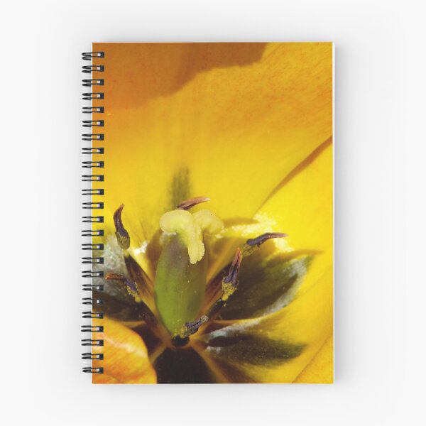 Item preview, Sunshine Tulip designed and sold by TriciaDanby.