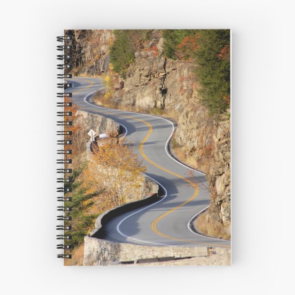 Item preview, This Road is making me dizzzzzzyyyy! designed and sold by ZeeZeeshots.