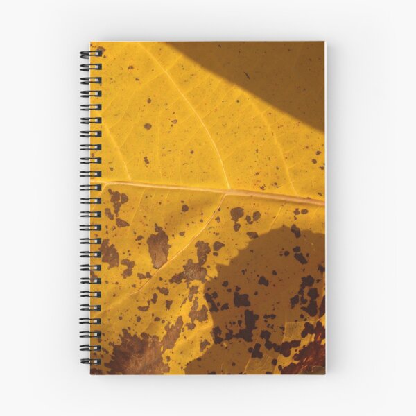Aperçu de l'œuvre Yellow  créée et vendue par discerninglight.