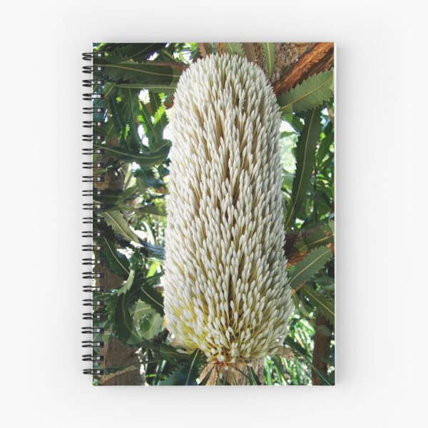 Item preview, banksia flower-head designed and sold by adamsown.