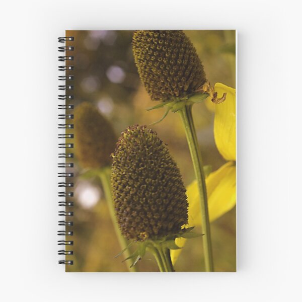 Item preview, Seed head designed and sold by Steve plowman.