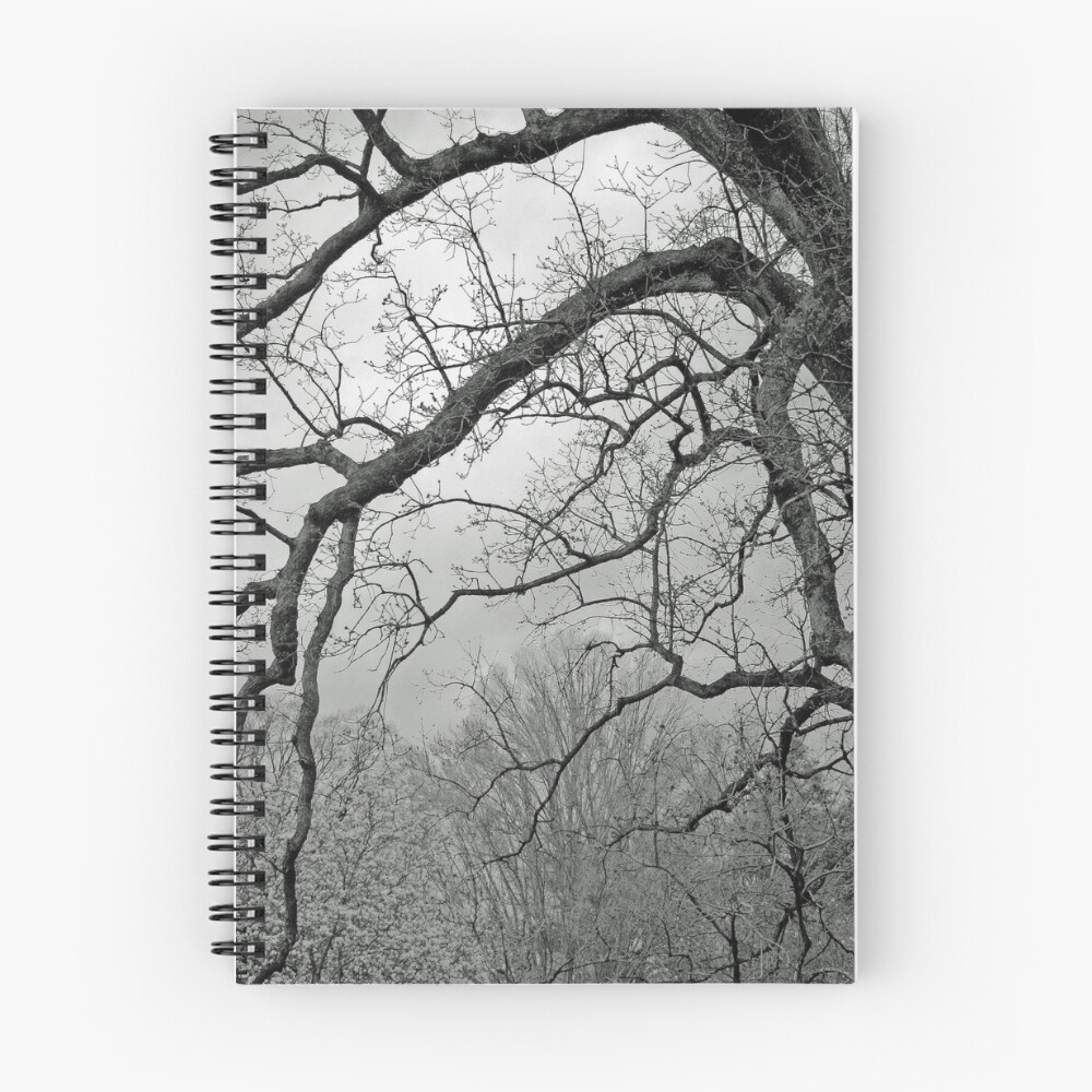 Item preview, Spiral Notebook designed and sold by corawandel.