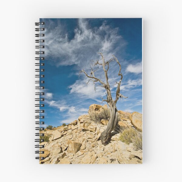 Item preview, Rio Puerco designed and sold by Glennis  Siverson.