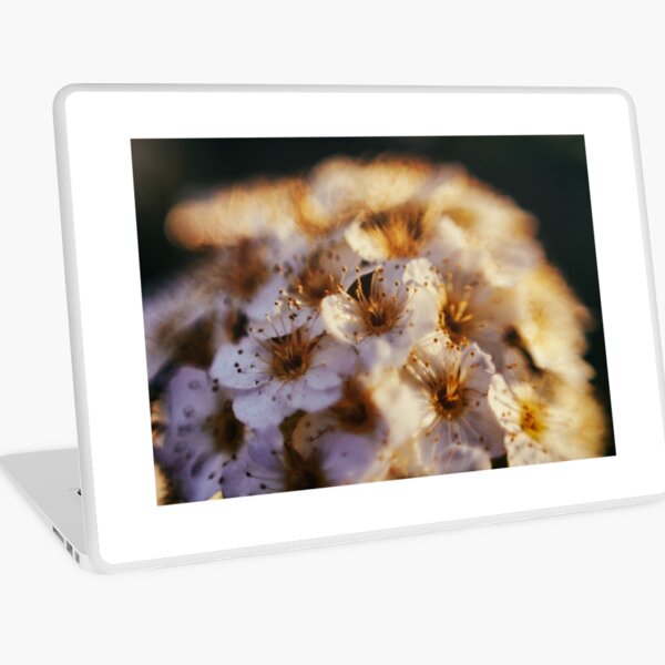 Bride's crown Laptop Skin