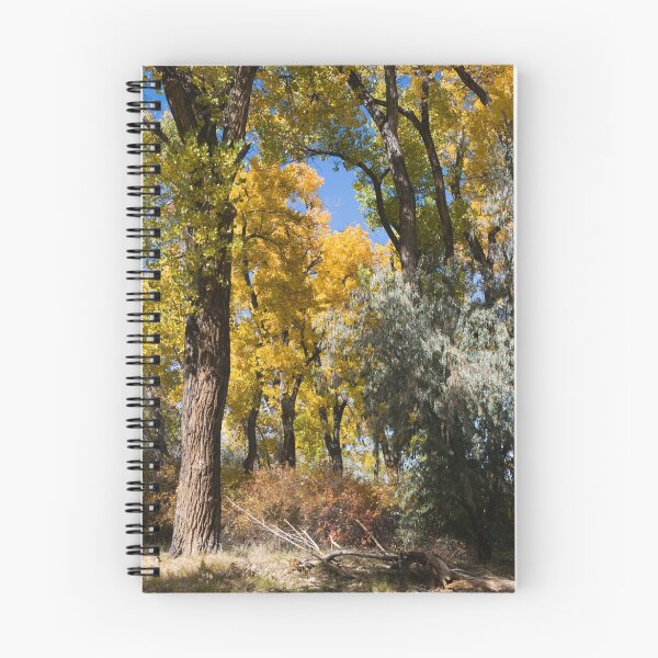 Item preview, Autumn Cottonwoods designed and sold by Linda J Armstrong.