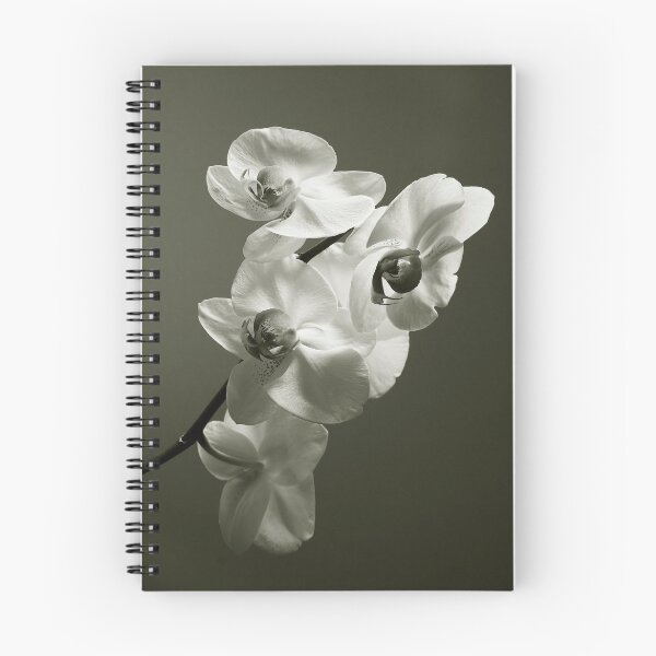 Artikelvorschau, Orchid entworfen und verkauft von SeanOlio.
