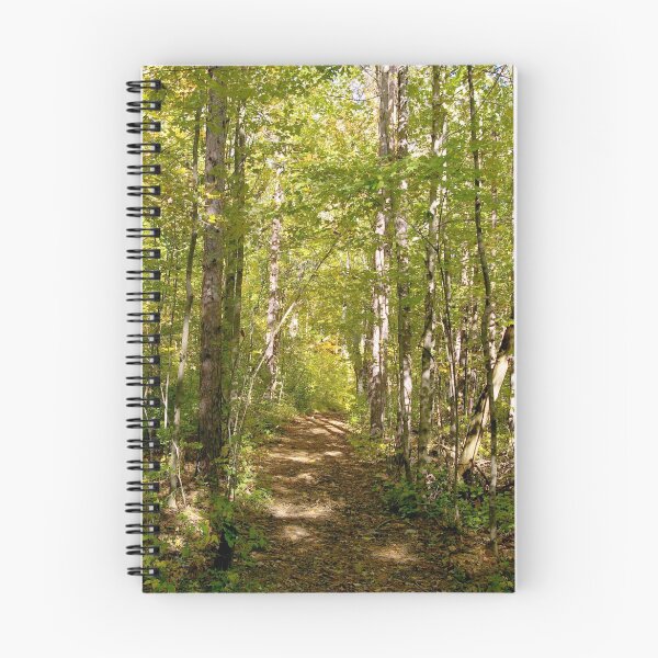 Artikelvorschau, Forest Trail entworfen und verkauft von rdshaw.