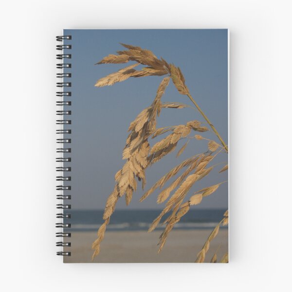 Item preview, Sea Oats at Sunset, Hunting Island designed and sold by Anna Lisa Yoder.